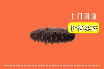 收购资讯:肇东市回收海参