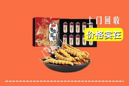 肇东市回收虫草