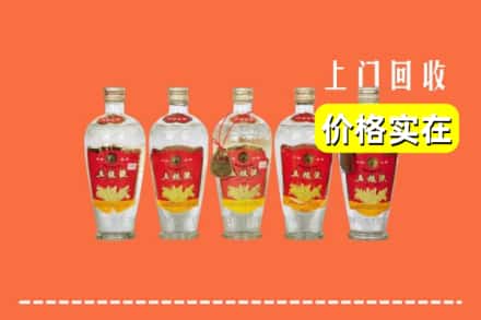 收购资讯:肇东市回收老五粮液